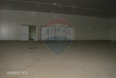 Proprietate industriala de vanzare - 102.420 mp - loc. Zauan jud.Salaj - 7