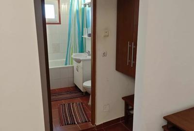 Vand ap,2 camere Micalaca(str.Voinicilor) vizavi de Profi ,centrala gaz - 4