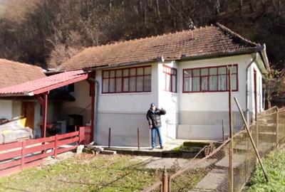 Casă în Brâznic - 5