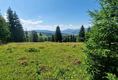 Teren Construcții intravilan de 9908 mp, în Dorna-Arini - 9