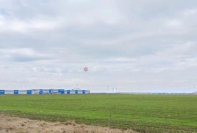 Teren Construcții extravilan de 16875 mp, în Hărman - 4