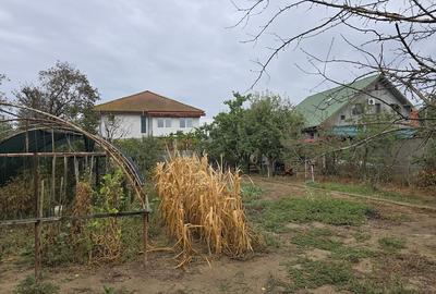 Magurele/Darasti-Ilfov/Vila individula cu crama,garaj,foisor,livada si solar - 5