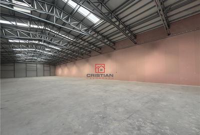 Depozit/hala/spatiu industrial Buftea - Tamasi, Ilfov - 7