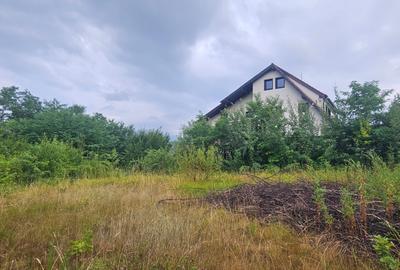 Vand de constructii situat la sosea in Tropinii Noi, cu PUZ, - 7