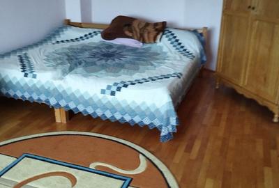 Casă cu 2 camere cu Teren 8000 Mp în Budieni - 4