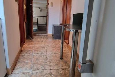 Garsonieră semidecomandată în Beba Veche - 7