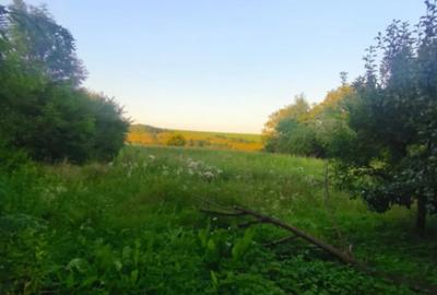 Casă cu 2 camere cu Teren 3500 Mp în Negostina - 6