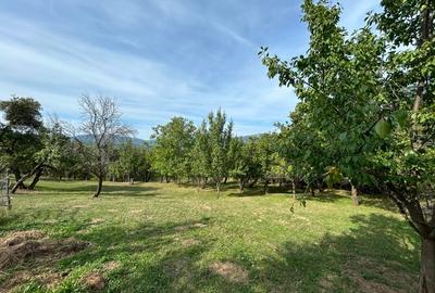 Teren intravilan Breaza - 4