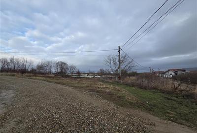 Teren intravilan de 647 mp, în Paleu - 4