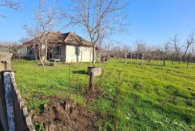 Casa de vanzare. Strada Gradinitei nr.20 jud.Ialomita - 3