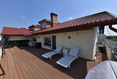 Drumul Taberei, Valea Oltului, Penthouse superb - 11