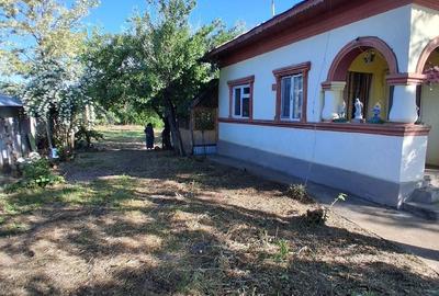 Casă cu Teren 1500 Mp în Dor Mărunt - 3