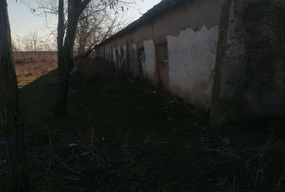 Teren de 1335 mp, în Grădiștea - 4