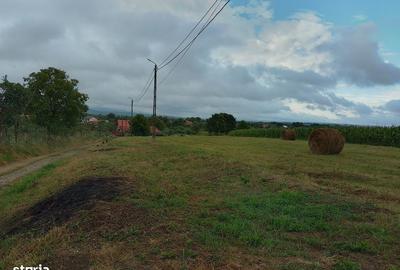 Spațiu comercial, în Răchita - 1