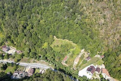 Teren intravilan de 1500 mp pe deal in Moneasa - 2