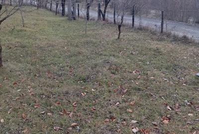 Teren de 2000 mp, în Ocina de Sus - 7