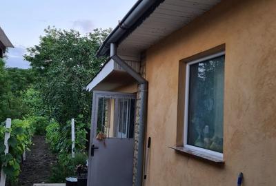 Casă cu 6 camere cu Teren 1100 Mp în Cozia - 2