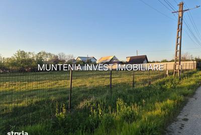 Teren de 3533 mp, în Poiana Lacului - 2