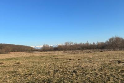 Teren agricol extravilan de 2400 mp, în Cristian - 4