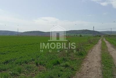 Teren agricol extravilan de 44356 mp, în Exterior Vest - 3