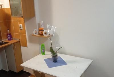 Inchiriez garsoniera in Sibiu - 9