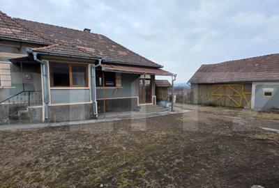 Casă cu 4 camere cu Teren 4000 Mp în Central