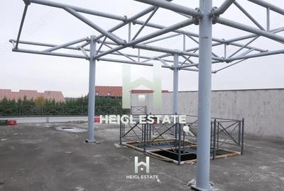 Casă cu Teren 6802 Mp în Albina - 7