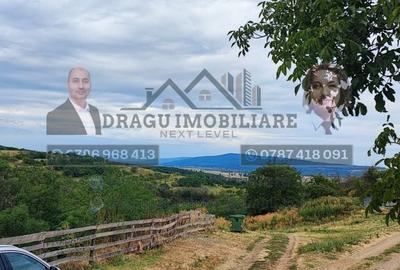 Teren generos 2240 mp cu casă bătrânească - Copăcești, județul Vrancea - 5