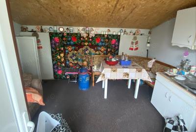 Vand casa in Pestisu Mic - 7