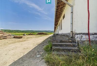 Hale 1800 mp fiecare – acces autostradă, Teiu, HD - 18