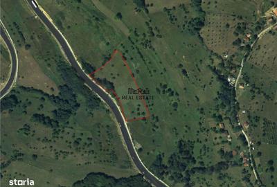 Teren de 8757 mp, în Luncoiu de Jos - 1