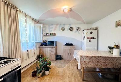 Casa cu Toate Utilitatile,Vedere Panoramica,Livada-Stefanesti, Arges - 26