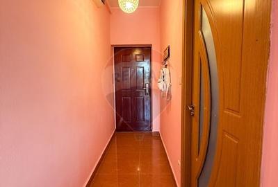 Apartament cu  2 dormitoare de inchiriat Zona Cocorilor,Arad - 11