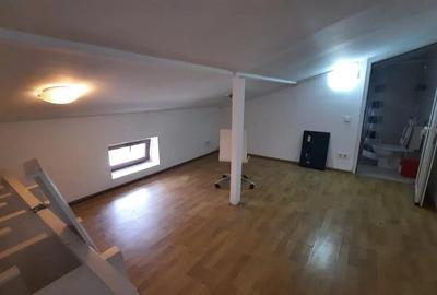 Casa singur curte, gradina mare frumoasa, Eminescu,Tunari - 5