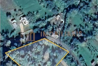 Teren intravilan 80 ari cu posibilitate de parcelare, Ardusat - 3