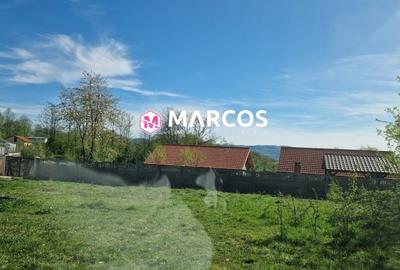 Teren Construcții extravilan de 2360 mp, în Calea Caransebeșului - 1