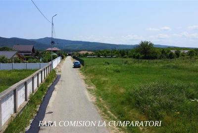 TEREN 2510 MP, PRETABIL DEZVOLTARE REZIDENTIALA - 10