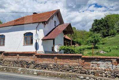 Casă cu 4 camere cu Teren 3166 Mp în Bejan - 3