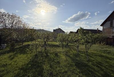 Casă cu 4 camere cu Teren 2760 Mp în Central - 4