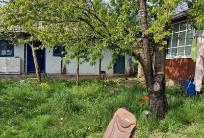 Casă cu 3 camere în Burlești - 7