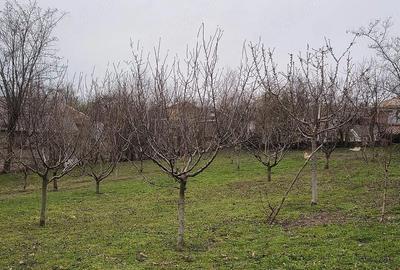 Casă cu 2 camere în Central - 1