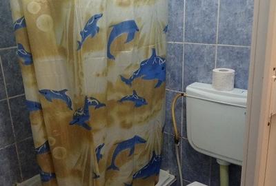 Apartament 1 camera, Str.Alexandru cazaban - 4