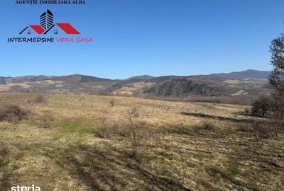 Teren de 28900 mp, în Vințu de Jos - 6