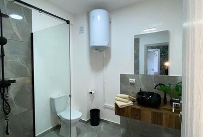 Apartament cu 2 camere în Băile Felix - 6