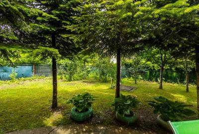 Vila 6 camere, de vanzare, Snagov Vila 6 camere, de vanzare, Snagov - 5