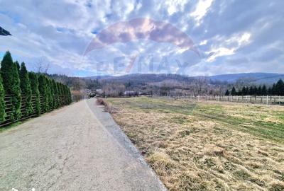 Teren de 2286 mp, în Mărgineni - 8