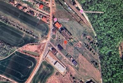 Lot teren 450 mp langa padure Ciolpani Fermei - 1