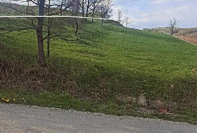 Teren de 3380 mp, în Șoimuș - 1