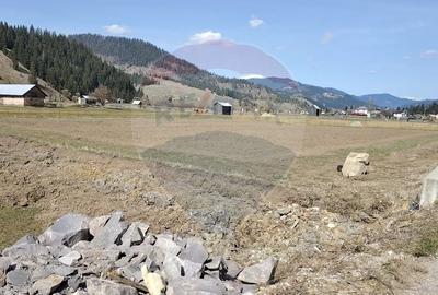 Teren Construcții intravilan de 7834 mp, în Dorna-Arini - 11