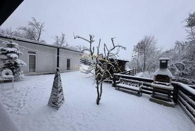 Casa de vacanta**Panorama spectaculoasa//Provita de Jos_Prahova - 16